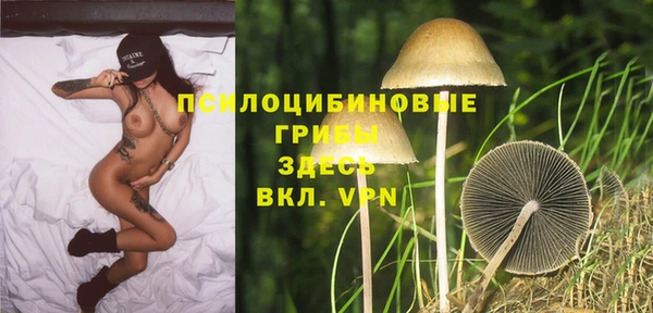 ECSTASY Алексин